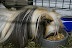 DSC02365.JPG