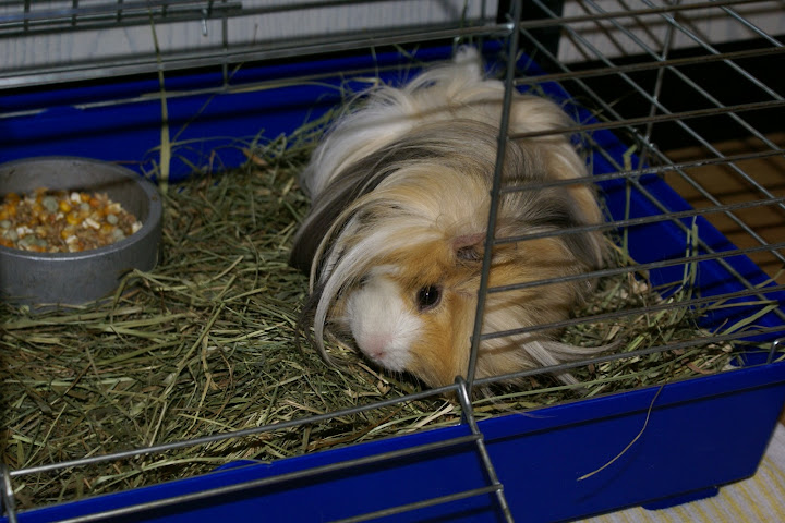 DSC02368.JPG