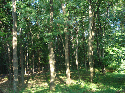 Picture%20029.jpg