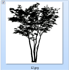 รบกวนถามขั้นตอนการทำต้นไม้โปร่งแสงใน V-ray 1.48.89 ครับ Tt002