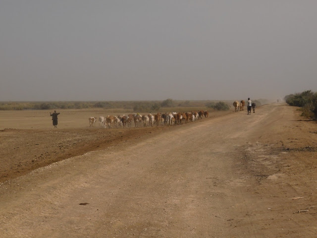 diama piste