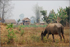 Venkov nedaleko Hsipaw