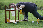 Target Practice