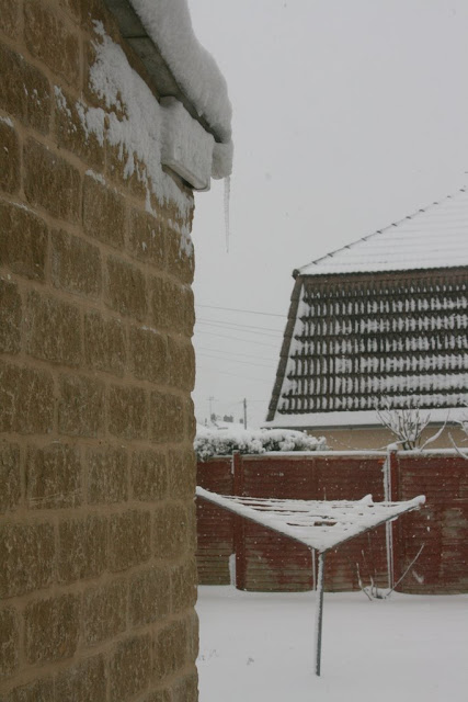 Icicle