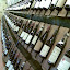 Barolo, Barbaresco, Barbera dAsti, Dolcetto dAlba....Im in heaven...sadly I could take nothing back in my carry on luggage. Darn the no-liquids rule!