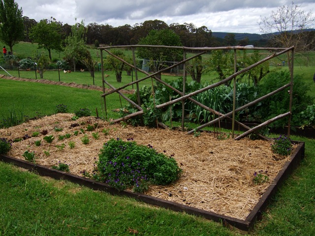 [Open Gardens October 2010 040[3].jpg]