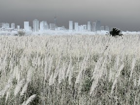 Buenos Aires (Argentine)