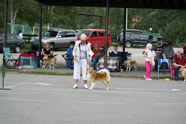 [DSC03106[2].jpg]