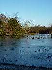 Frozen Lake at Highams Park