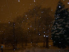 snow tonight