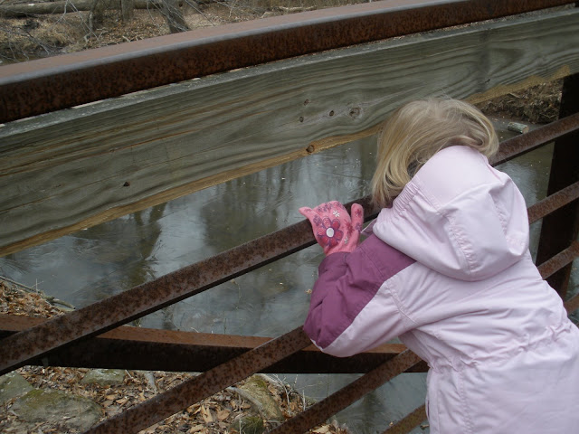Meg looking at a sign by the pond.