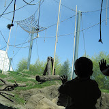 MONKEYS!!!