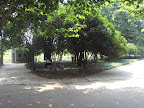 SDC17159.JPG