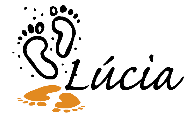 [assinatura lúcia[3].gif]