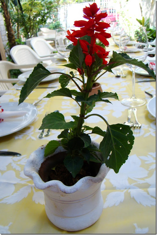 DSC01219