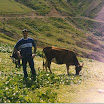servodan_049.jpg