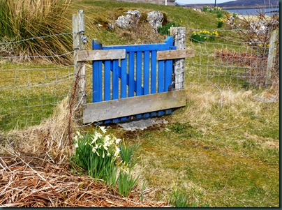 gate gate