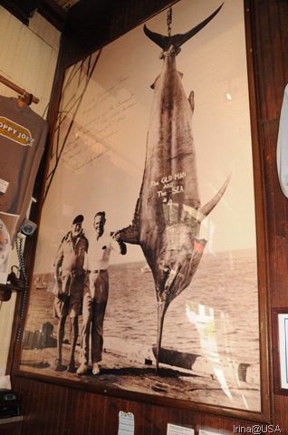 [KeyWest2010174[4].jpg]