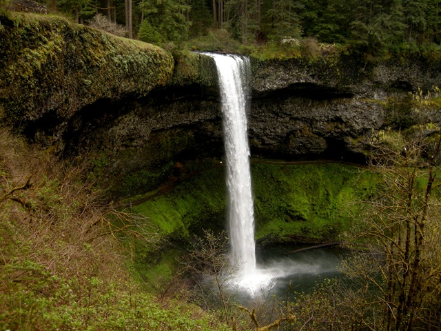[Silver_Falls (76)[5].jpg]