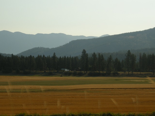 [Bonners_to_Divide12.jpg]