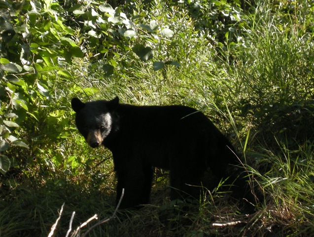 [Soo_to_Killarney533.jpg]