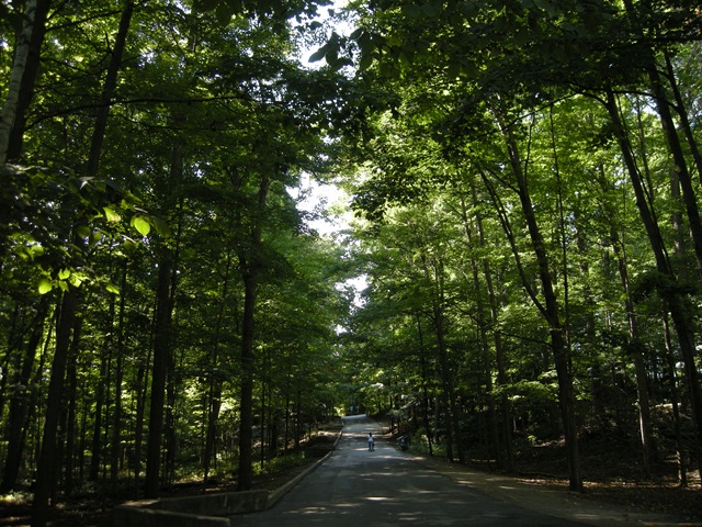 [Toronto_zoo345.jpg]