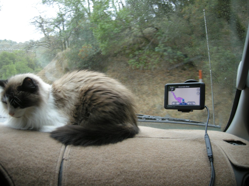 [Fort Bragg to Forestville (21)[6].jpg]