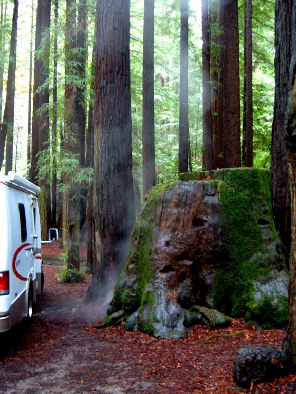 [11_05 Mendocino Coast 008[7].jpg]