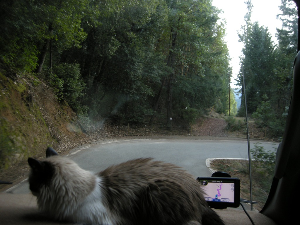 [Feb5toGrizzlyPark197.jpg]