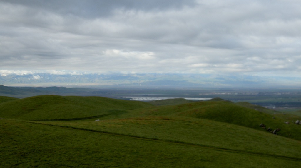 [Bakersfield to Borrego (10)[3].jpg]