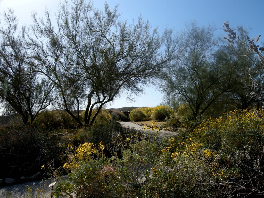 [Anza visitor center (5)[2].jpg]