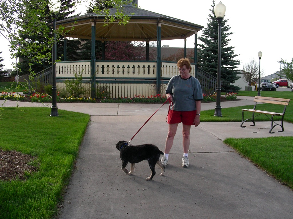 [Lincoln 036[2].jpg]