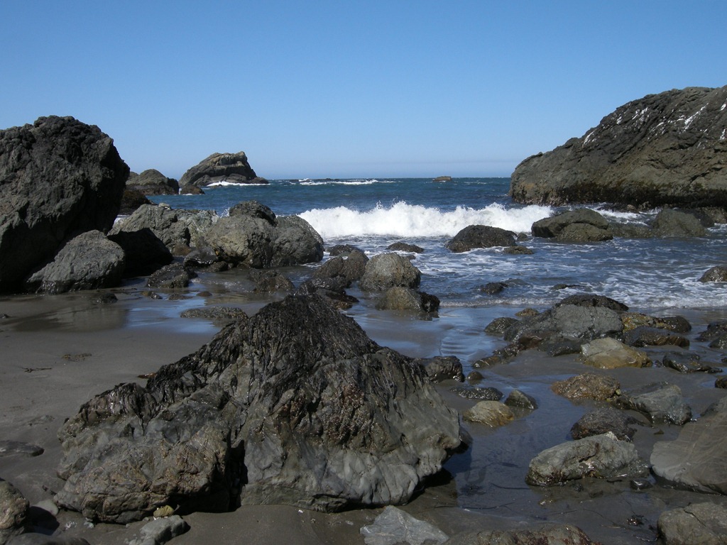 [Harris-Beach-Day-2-224.jpg]