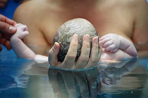 [waterbirth-photos-collection[3].jpg]