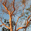 AllTrails Bike Tours Gallery Thumbnail