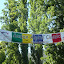 AllTrails Bike Tours Gallery Thumbnail