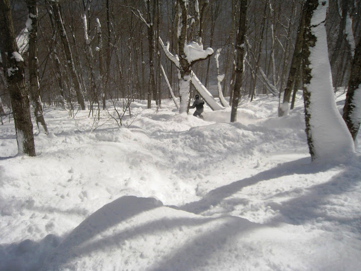 IMG_2717.jpg