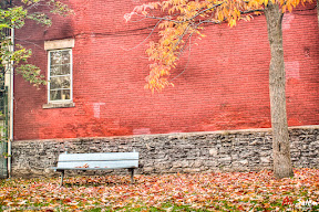 montreal-autumn-by-ali-salem-3