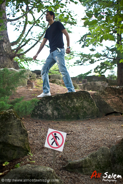 Amir Tlejani