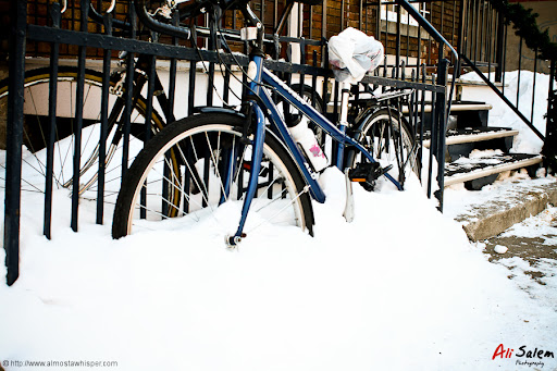 Montreal-aftermath-snow-storm-7
