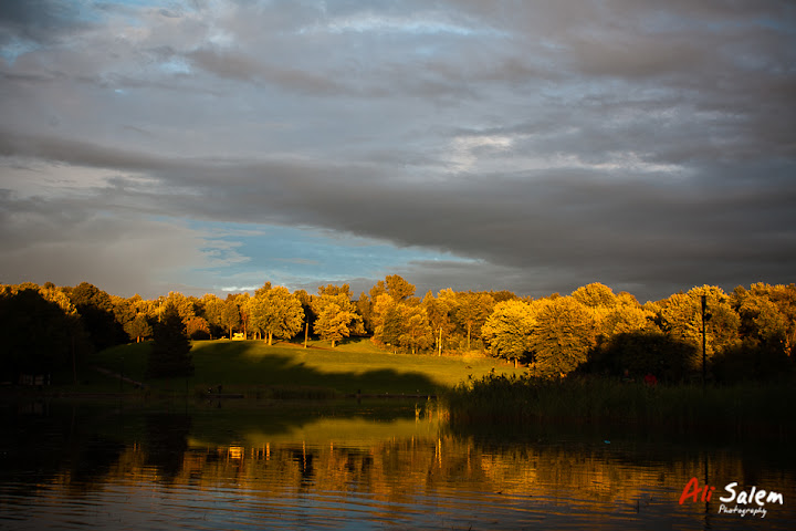 mount-royal-post-rain-8.jpg