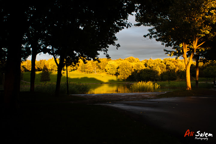 mount-royal-post-rain-9.jpg