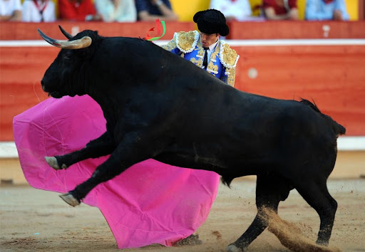 Festa de São Firmino