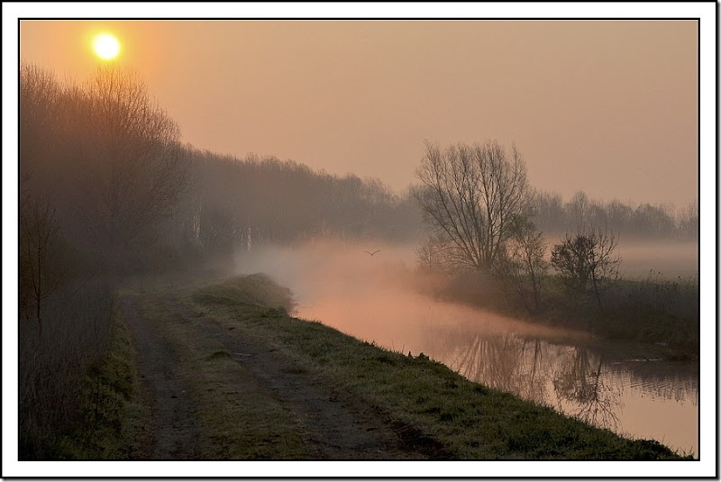 foggy morning