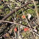 IMGP7466.JPG