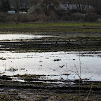 This is a farm that had recently tilled this field.