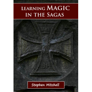 Learning Magic In The Sagas Cover