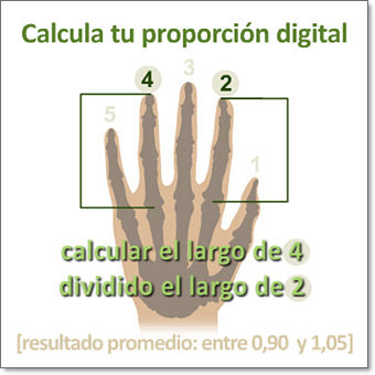 proporción digital