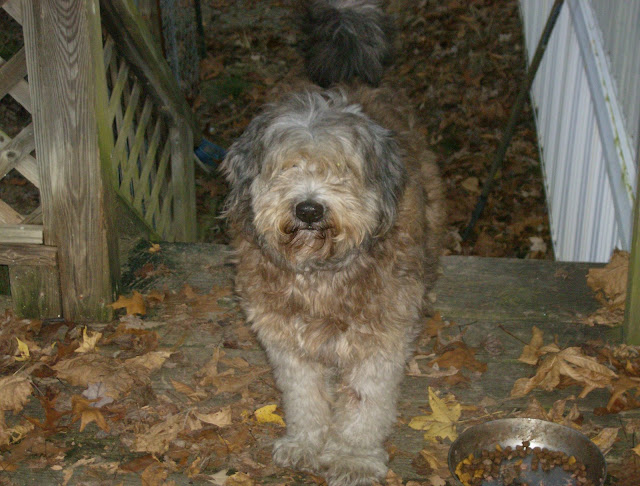 HPIM0692.JPG