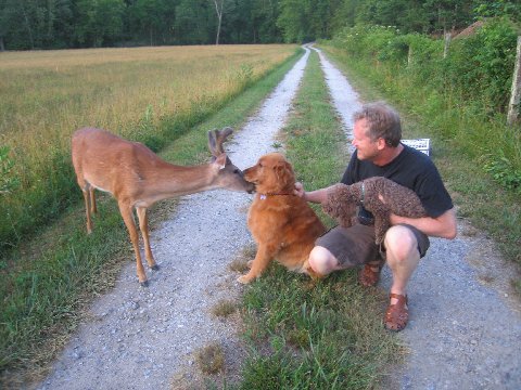 image44.jpg